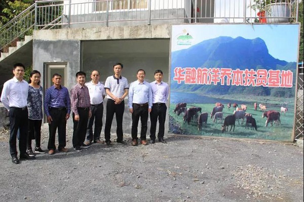 【華融扶貧】廣西分公司:落實(shí)掛牌督戰(zhàn)任務(wù) 積極助力脫貧攻堅(jiān)