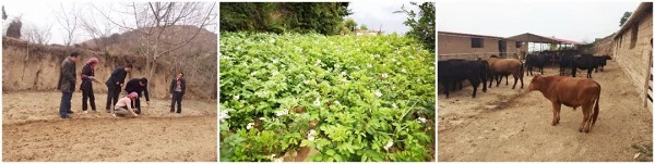 【華融扶貧】甘肅分公司: 情系藏區(qū)擔使命 精準幫扶促脫貧