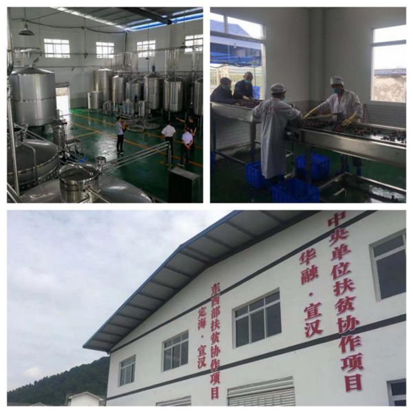 中國華融:創(chuàng)新扶貧模式 整合金融資源 全力以赴確保高質量完成脫貧攻堅任務